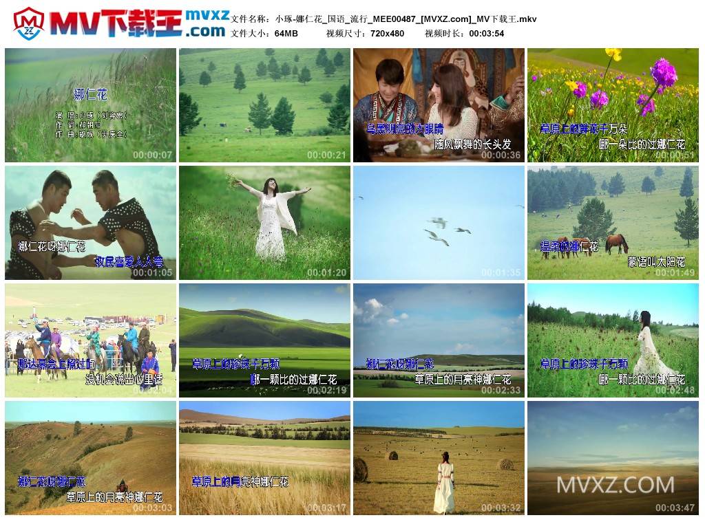 小琢-娜仁花_国语_流行_MEE00487